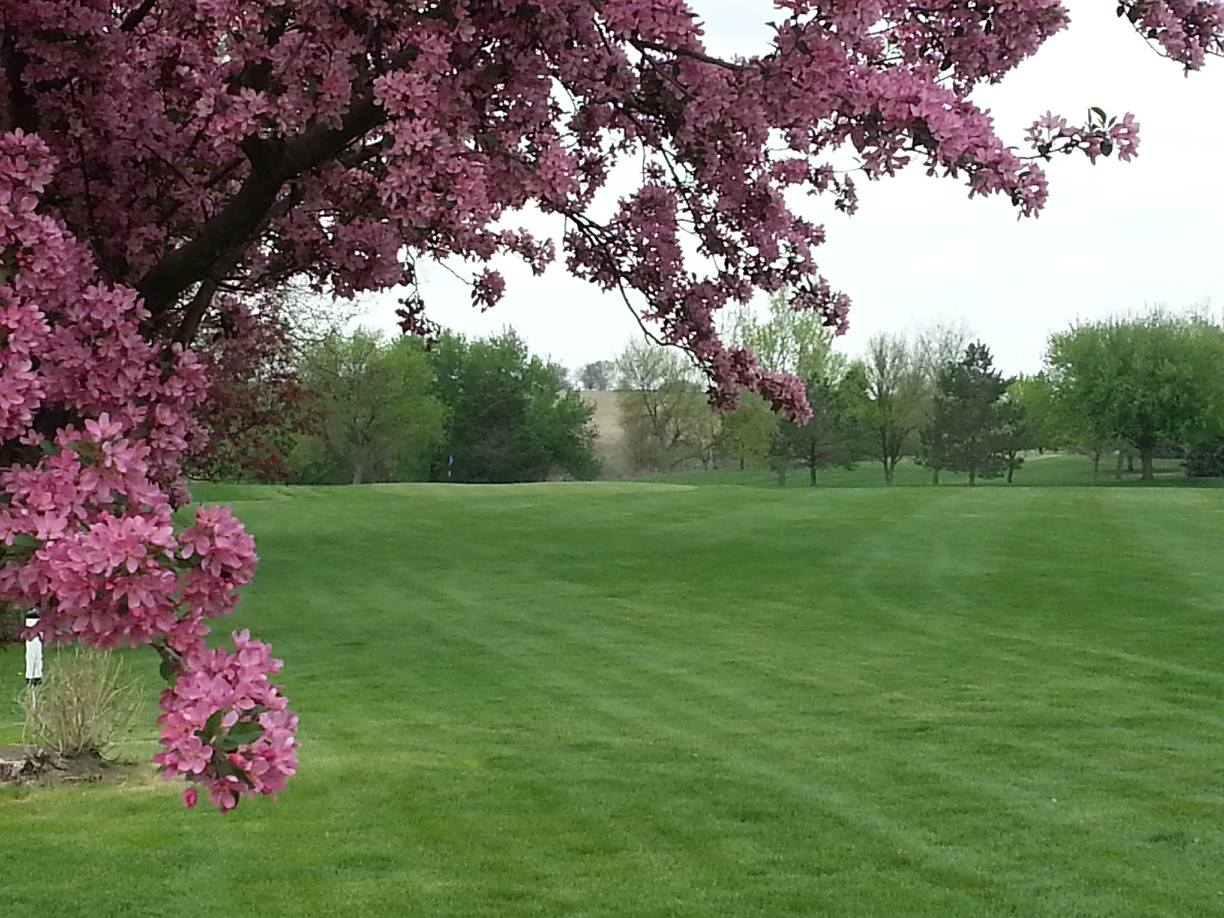 Glenridge Golf Club – photo 2
