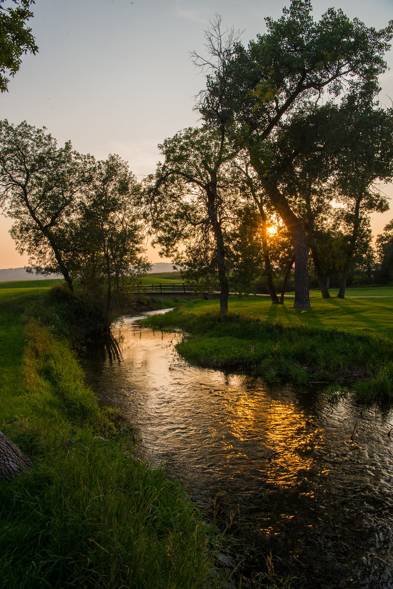 Hart Ranch Golf Club