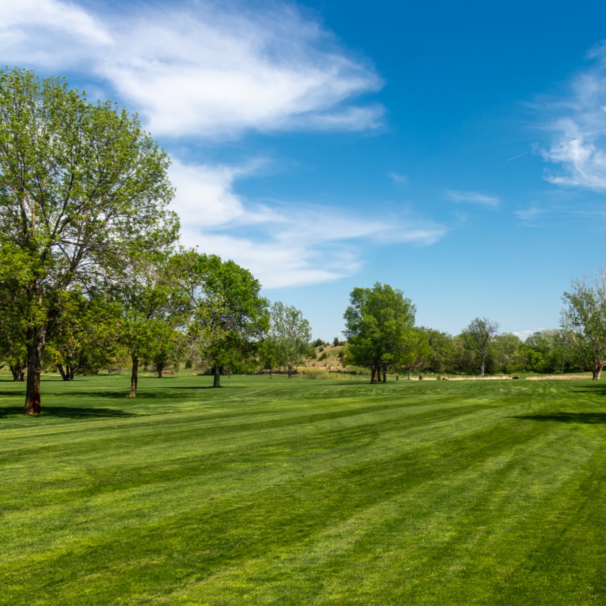 Wild Oak Golf Course – photo 2
